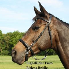 LightRider English Euro Bitless Bridle