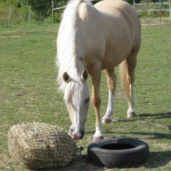 HaySaver 6cm/60 ply Tuff Slowfeed Hay Net