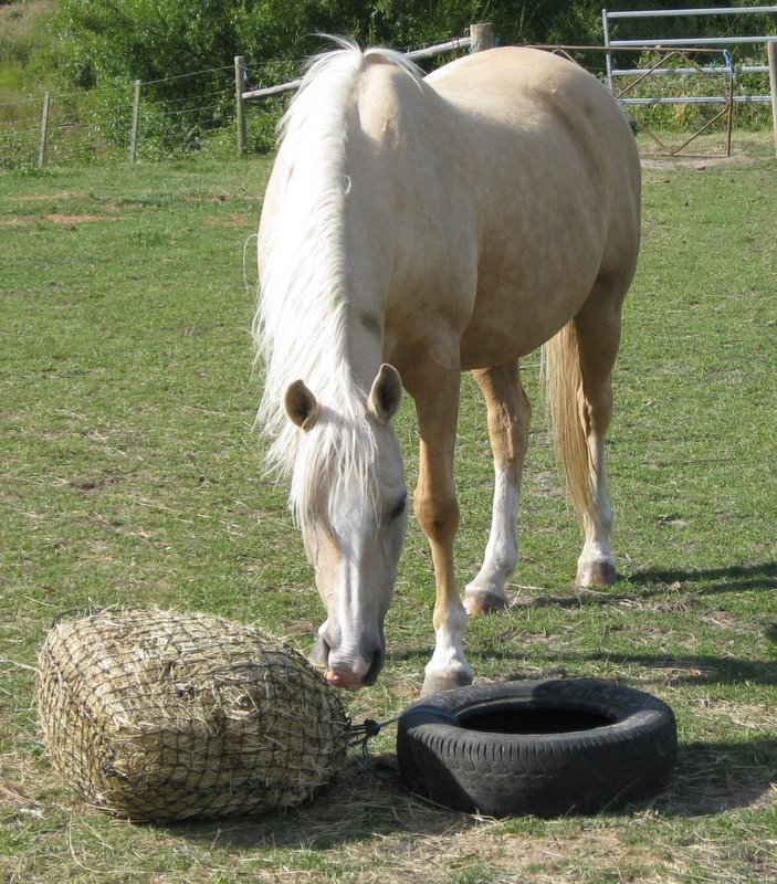 HaySaver Knotted Hay Net 3, 4 & 6cm hole size - Natural Horse World HaySaver 6cm/60 ply Tuff Slowfeed Hay Net
