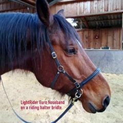LightRider Euro Bitless Noseband