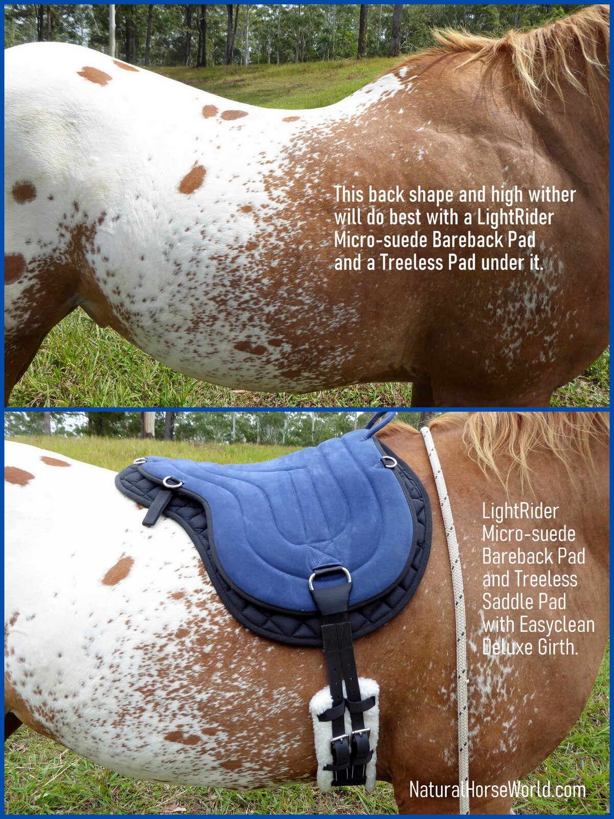 LightRider Micro Suede Bareback Pad Synthetic
