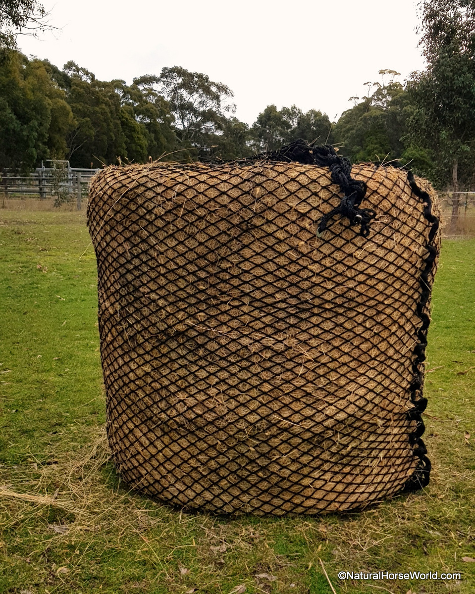 Deluxe Knotless Round Bale Gutzbusta Hay Net - Natural Horse World Deluxe Knotless Round Bale Slowfeed Hay Net 3cm, 4cm or 6cm hole sizes