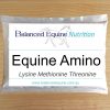 Equine Amino by Balanced Equine - Carol Layton