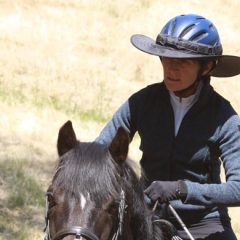 Da Brim Equestrian Helmet Brim Petite style