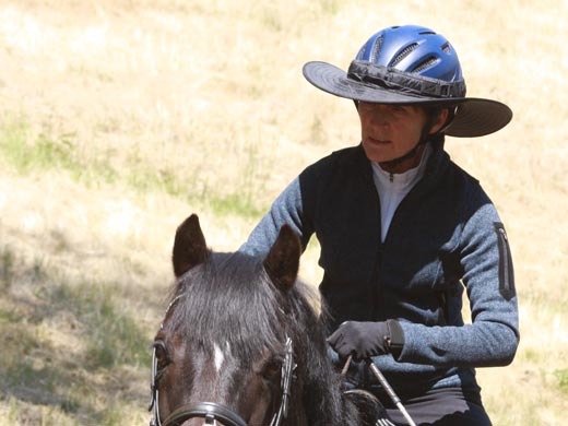 Da Brim Equestrian Helmet Brim Petite style