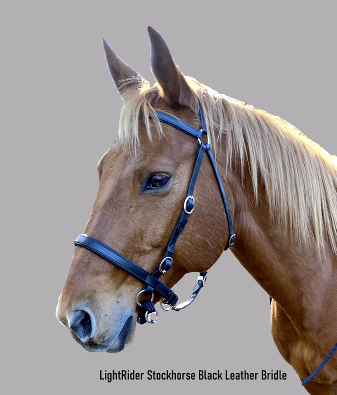 LightRider Stockhorse Bitless Bridle