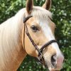 LightRider English Euro Bitless Bridle - Natural Horse World LightRider English Euro Bitless Bridle