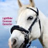 LightRider Cavesson Converter For Straightness Training & Lunging