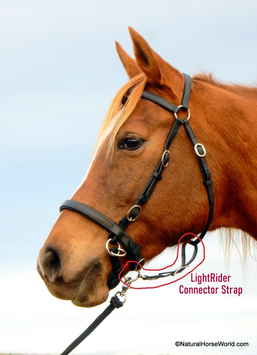 LightRider Connector Strap