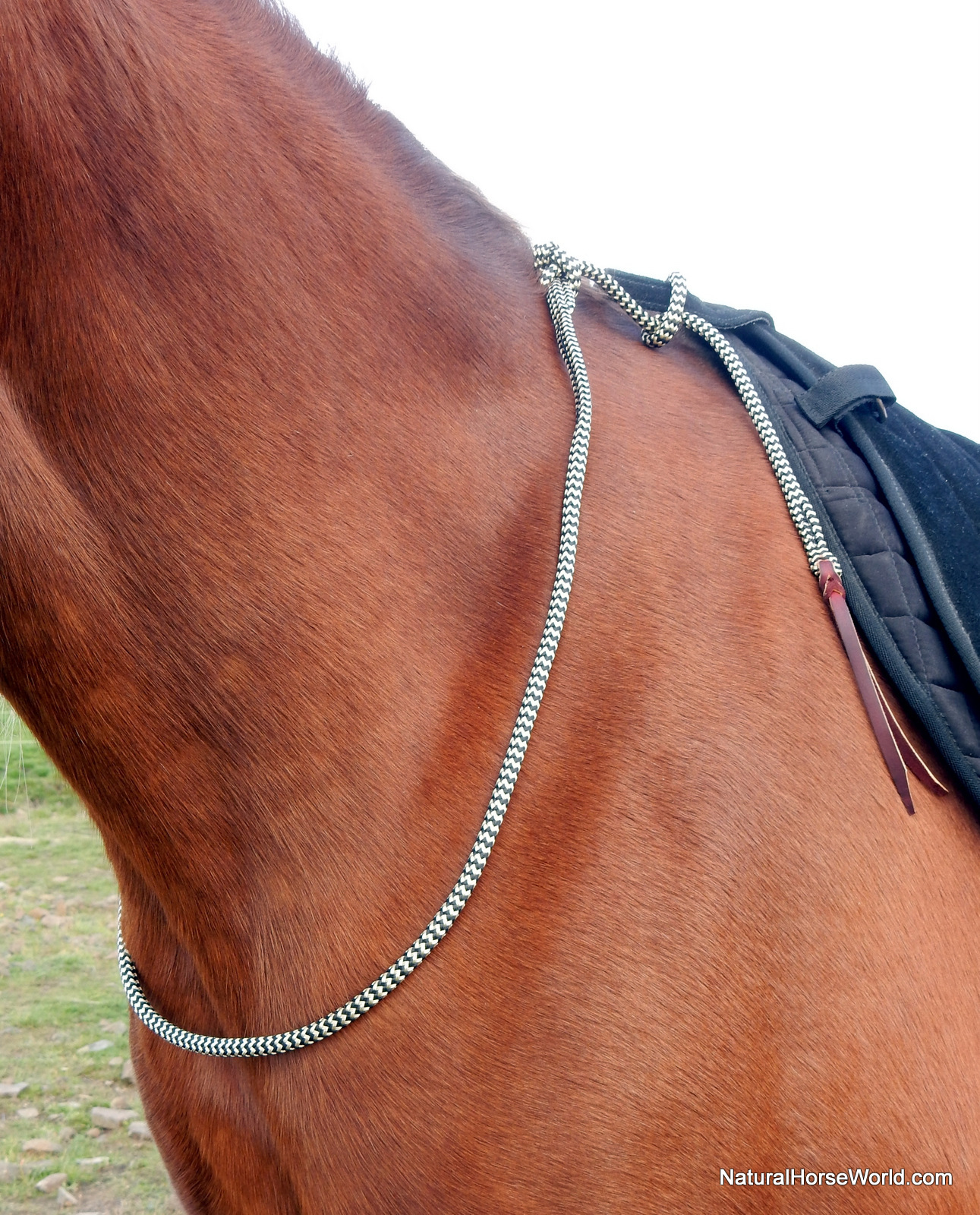 LightRider Neck Rope Riding Cordeo