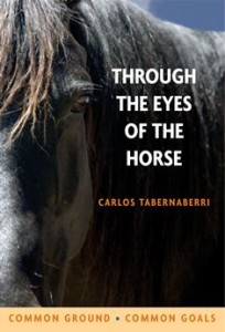 Through the Eyes of The Horse