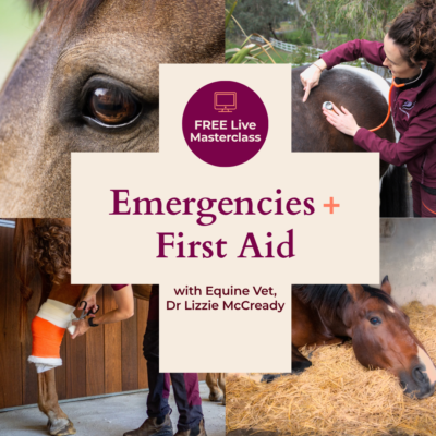 Emergencies & First Aid
