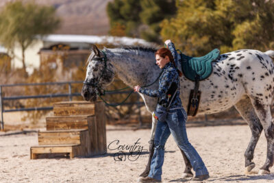 Groundwork in a Bitless bridle and bareback pad