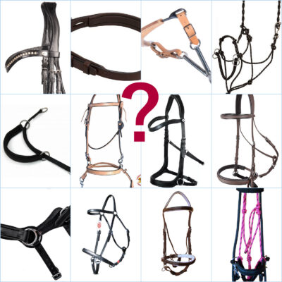 Bitless bridle styles collage
