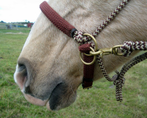The LightRider Rope Natural Bridle with rings clipped together for no chinstrap action.