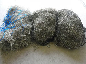 Hay nets used in the study. 