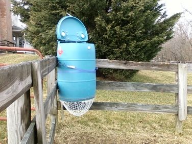 Barrel hay net feeder.