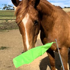 Slick Stick Flag Green large