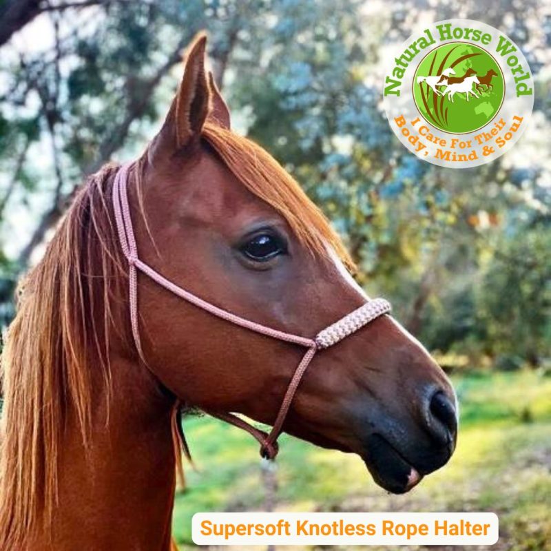 New Supersoft Knotless Rope Halter
