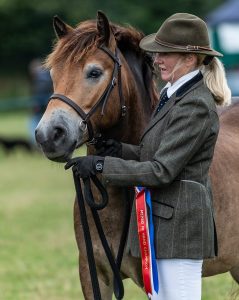 Monsieur Chapeau, winning a championship at the MEPBG Exmoor Pony Show at Brendon Show (Image: Geoff Baylis)