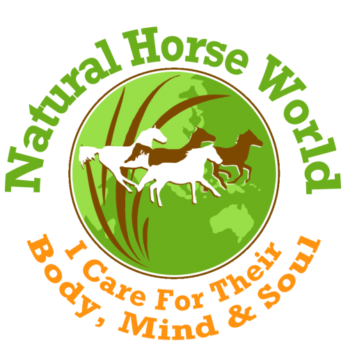 Natural Horse World