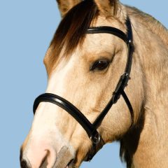 LightRider Amalia Bitless Bridle
