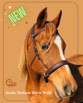 LightRider Amalia Biothane Bitless Bridle