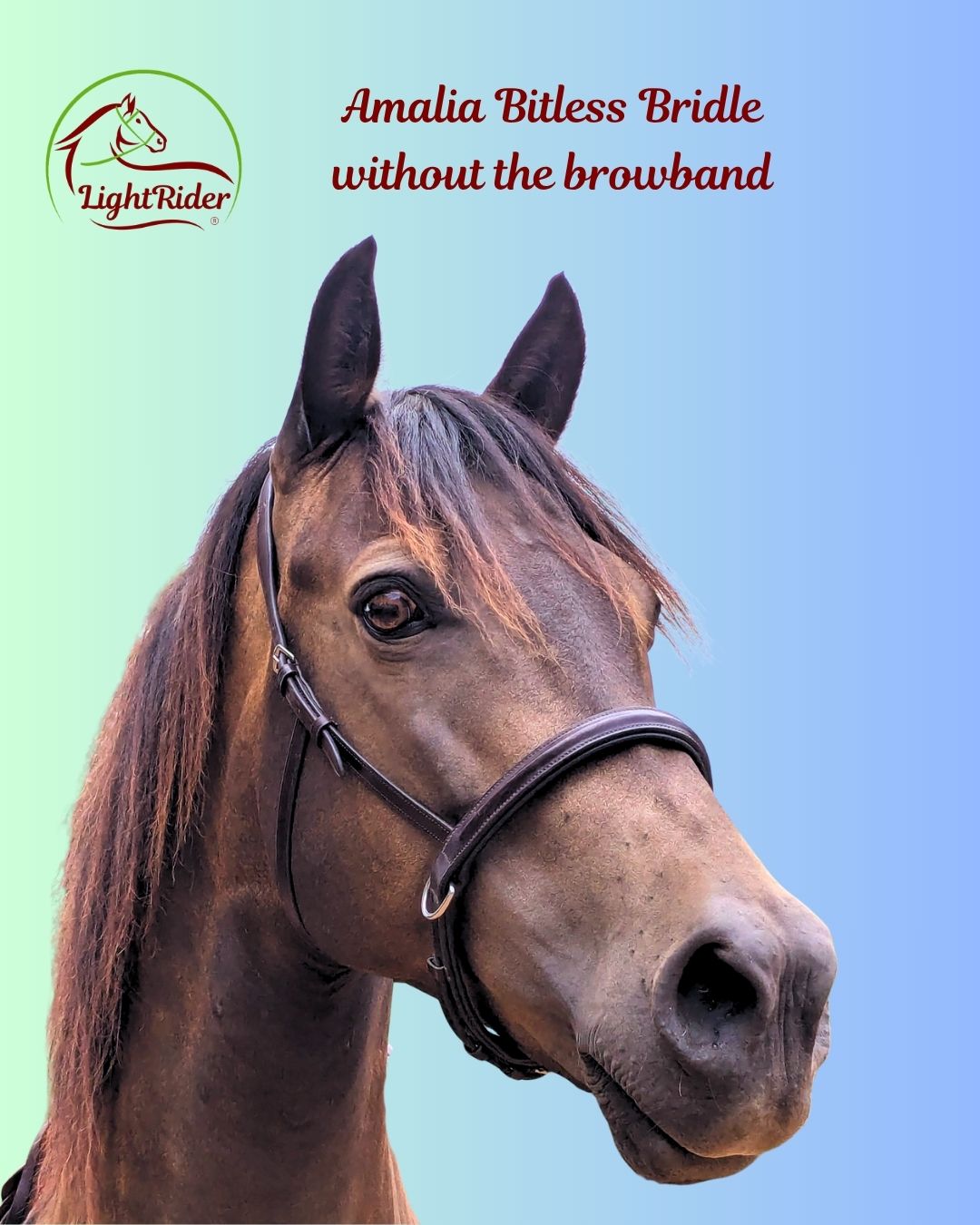 LightRider Amalia bitless bridle without browband