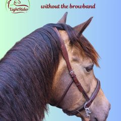LightRider Amalia bitless bridle without browband