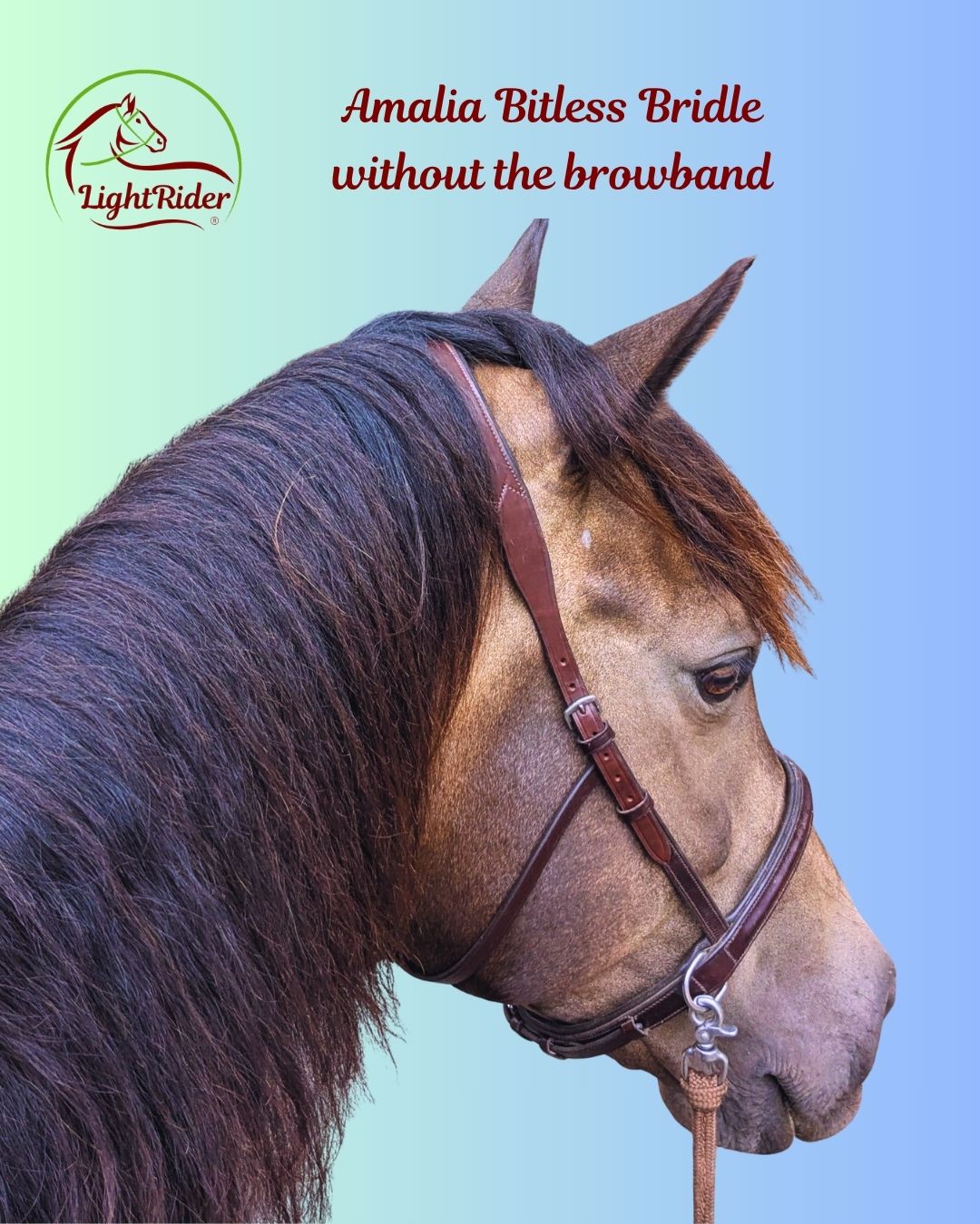 LightRider Amalia bitless bridle without browband