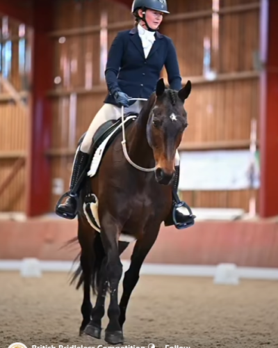 British Bridleless competition