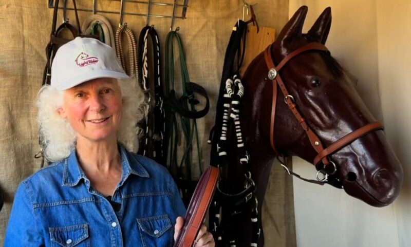 CynthiaBridleStylesNoseband