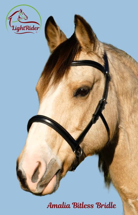 Amalia Bridle BlackMainPic