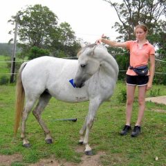 Telescopic Training Slick Stick  Extendable with foam handle