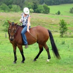 Telescopic Training Slick Stick  Extendable with foam handle