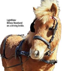 LightRider Bitless Noseband